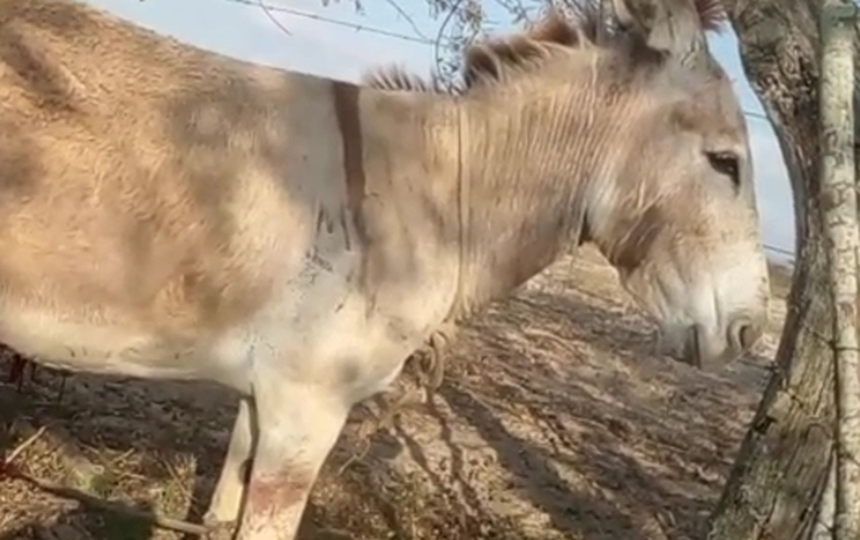 foto Not&iacute;cia Aracaju