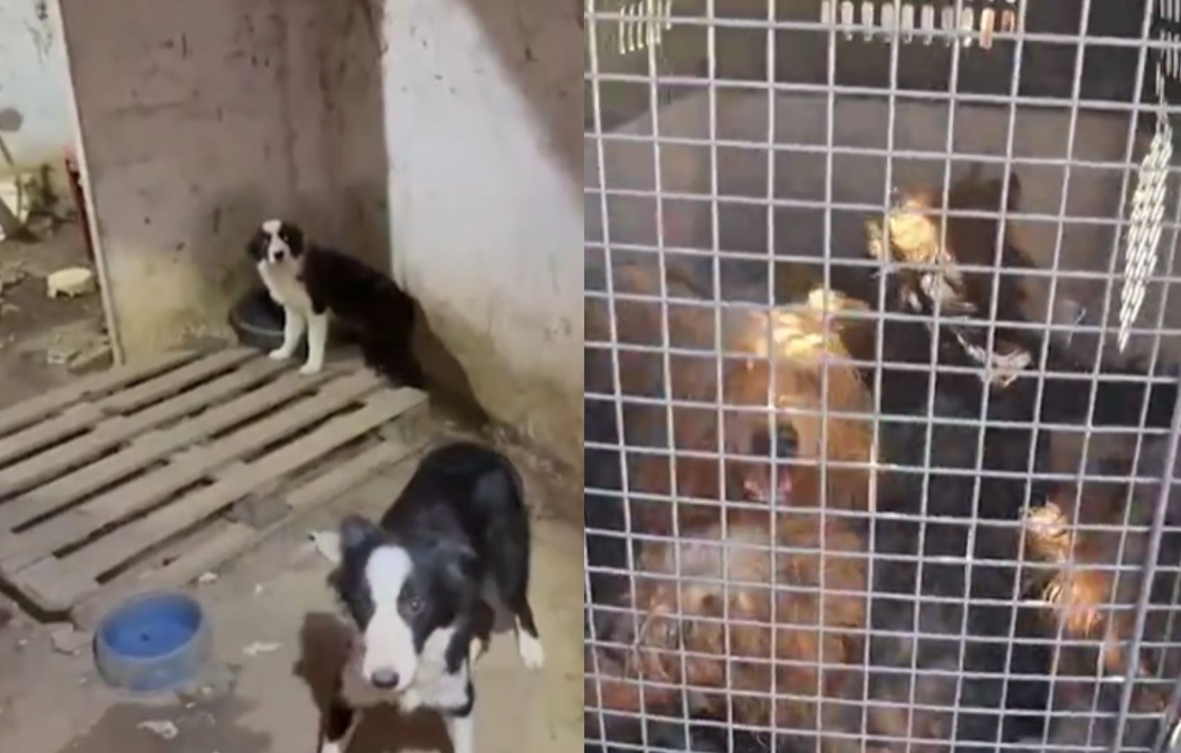 foto Not&iacute;cia Aracaju